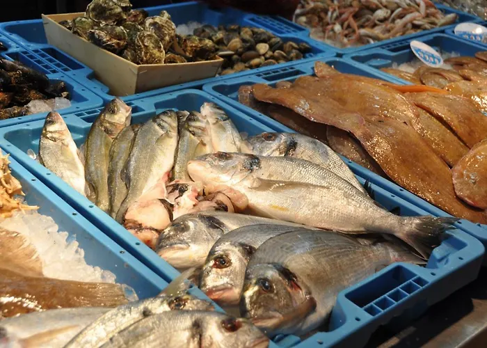 Chica Villa Vinarós