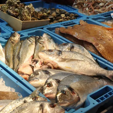 Chica Villa Vinarós